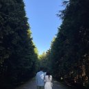 성미목장 이미지