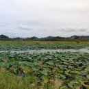 상주 공검지 이미지