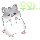 빅콩