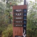 광교산 성복동 등산로 이미지