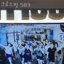 크로스핏 503 이미지