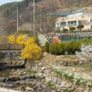 달빛영근마을 네이버블로그