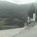 곰소펜션 | 밀양 곰소 계곡2편_가는길,캠핑과 취사, 구명조끼대여가능