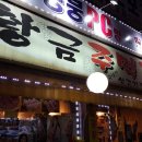 황금주먹고기