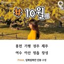 경희대성훈태권도장 이미지