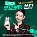 모터케이