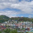 벽화생활 | 올라갈수록 예쁘게 펼쳐지는 풍경｜묵호 논골담길 벽화 산책 후기