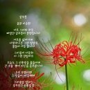 사람세상 네이버블로그