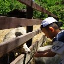 현우목장(2) 이미지