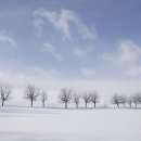 비에이 카카오 검색결과