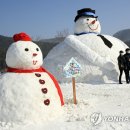 내장산 단풍생태공원 이미지