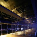 엘룬(elune) 이미지