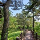 베릿내 | 베릿내오름 : 서귀포 주민들의 바다 일출 명소