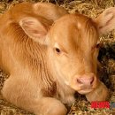 공근면복지회관 이미지