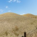 오두산 치유숲 이미지