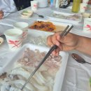 생생매운탕 | 서천 맛집] 홍원항에서 즐긴 제철 해산물 파티! 갑오징어(회/숙회)·광어회·소라·매운탕 코스 생생 후기