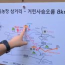 한라산둘레길 천아숲길 이미지