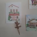 (주)우다다 | [겁쟁이 도마뱀 키우기] 우다다 수컷 노말 준성체 크레스티드 게코