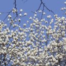 서곡공원 이미지