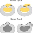 조은동물병원 이미지
