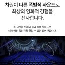 PIT IN(피트인) | 2025년 최고의 영화 F1 더 무비 관람 후기