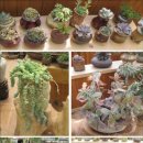 강천산(광주) 이미지