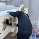 외도초등학교 병설유치원 이미지