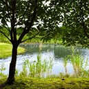 카스토리(CAR STORY) | 스프링데일CC 제주골프조인 2박3일 렌터카 추천 후기