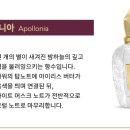 에르바 이미지