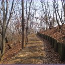 수리산둘레길 이미지