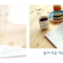 스킨,담다