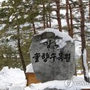 생활원예 야간 이미지