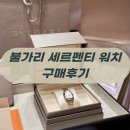 명성크리닝 | 불가리 세르펜티 투가보스 워치 솔직후기💎 여자의 시계는 결국 이것!