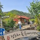 정희네 들꽃이야기 네이버블로그