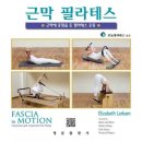 필라테스 이미지