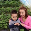 윤우농장 이미지