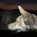 29170-5-B-01 | 2026/01 서울 해돋이 명소 추천｜아차산 새해 일출 등산 후기