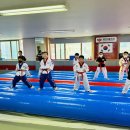 서진태권도 이미지