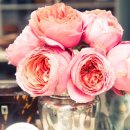 힐 스프링 이미지