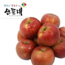 산들네
