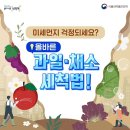 올바른 과일·채소 세척법! 이미지