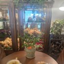 롯데마트(한우리아파트방면) | 부산 영도 실내정원 콘셉트 숨은 힐링공간 브리사뜰 천연 도테라오일 아로마테라피 체험 후기