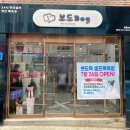 뽀도DOG 이미지