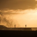 더(THE)83 이미지