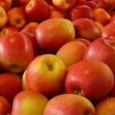 원호초등학교 병설유치원 이미지