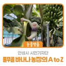 풀무골농장 이미지