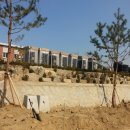 삼광수지 이미지