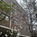 발산1동주민센터 | 모바일주민등록증 발급받기: ic 칩 온라인신청 후 수령