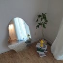 산들애풀하우스 | 제주 서귀포 성산일출봉 근처 가성비 숙소 산들애풀하우스 용눈이