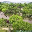 연결녹지4호1 이미지